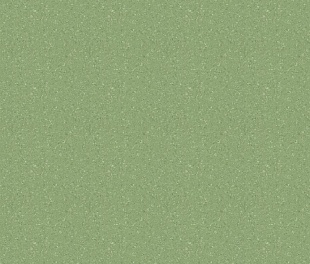 Линолеум Tarkett Tempo Plus 1009 в mir-pola.by